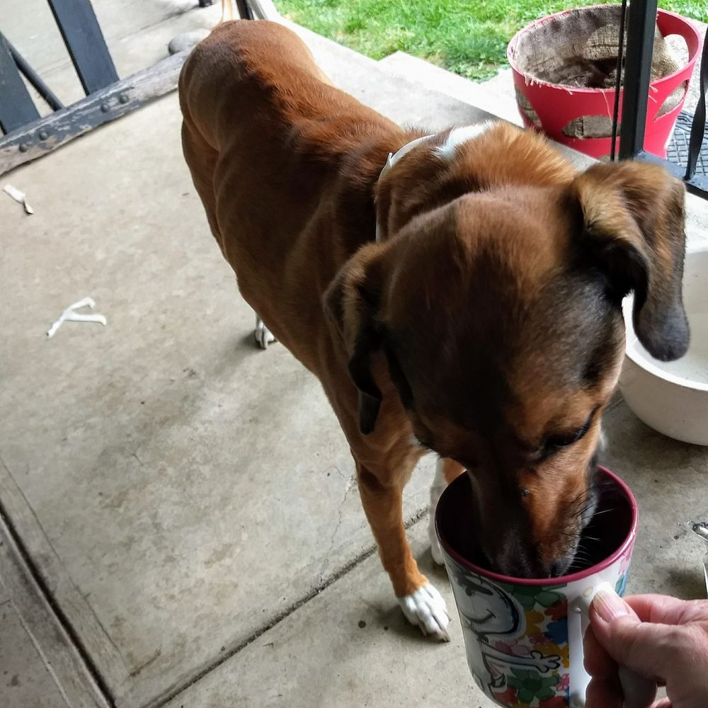 Meet your Posher, Robin